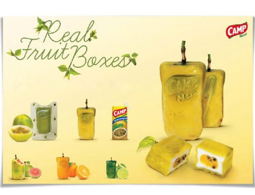 Camp Néctar | Real Fruit Boxes