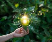 Imagem conceitual de uma lâmpada dentro de um milho com ícones sustentáveis em volta simbolizando o empreendedorismo sustentável